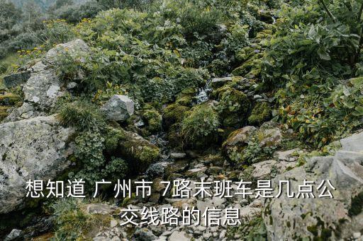 想知道 廣州市 7路末班車是幾點公交線路的信息