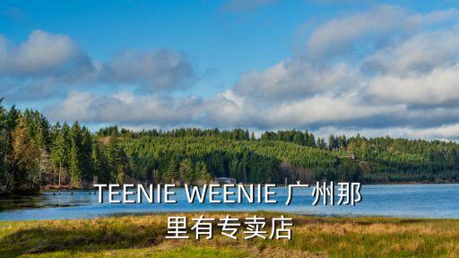 TEENIE WEENIE 廣州那里有專賣店