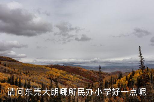 請問東莞大朗哪所民辦小學(xué)好一點呢