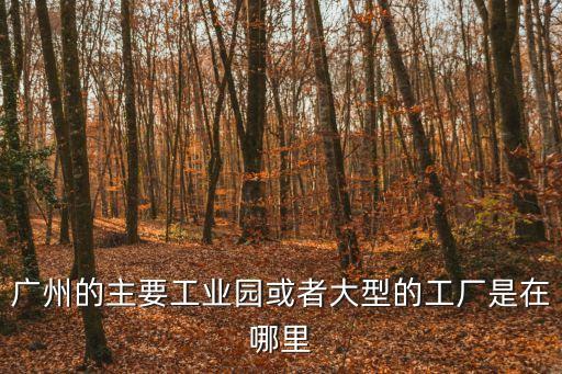 廣州的主要工業園或者大型的工廠是在哪里