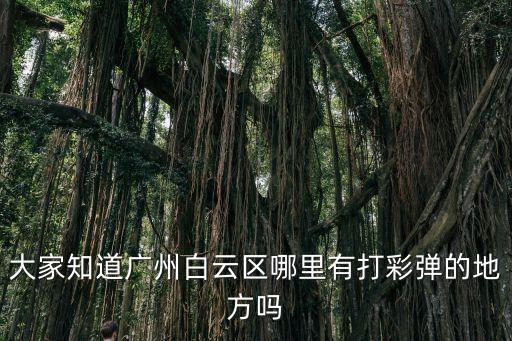 廣州有彈床樂園嗎，廣州現在有彈棉花的地方嗎