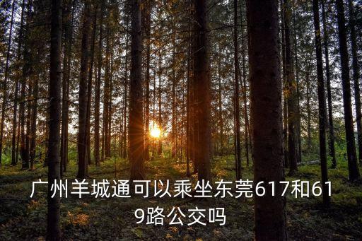 廣州羊城通可以乘坐東莞617和619路公交嗎