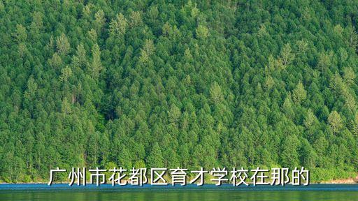 廣州市花都區育才學校在那的