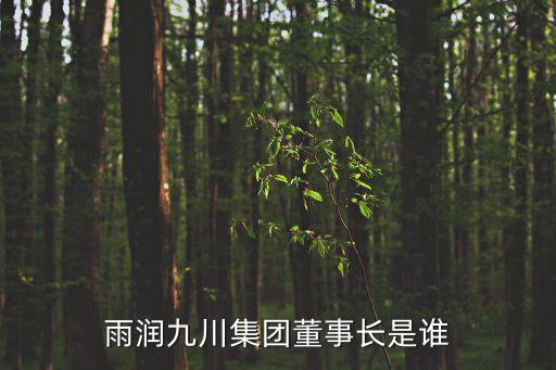雨潤九川集團董事長是誰
