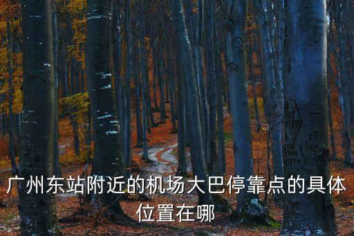 廣州東站附近的機場大巴停靠點的具體位置在哪