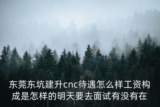 東莞東坑建升cnc待遇怎么樣工資構(gòu)成是怎樣的明天要去面試有沒有在