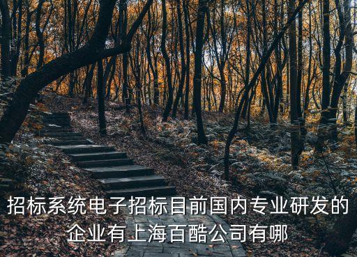 上海市實(shí)行電子招標(biāo)，上海徐匯區(qū)中山西路1919號b座613是什么公司啊