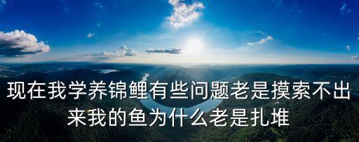 東莞錦氨鐳射印花廠家，初品內褲會不會起球