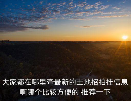 大家都在哪里查最新的土地招拍掛信息啊哪個(gè)比較方便的 推薦一下