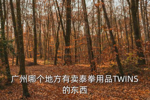 廣州哪個(gè)地方有賣泰拳用品TWINS的東西