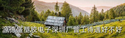 源德盛塑膠電子深圳廠普工待遇好不好