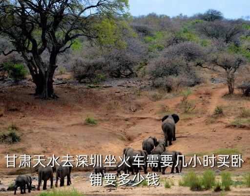 六靖至深圳三層臥鋪，現在從泰州到深圳的火車票價K91K92是多少錢