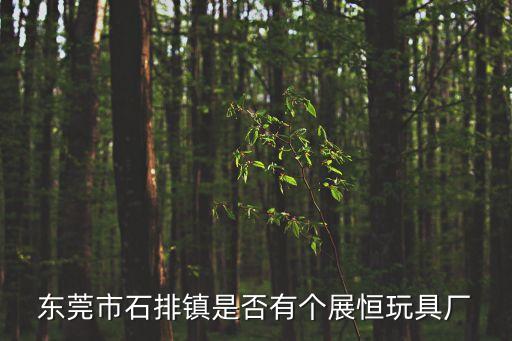 東莞市石排鎮是否有個展恒玩具廠