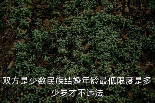 雙方是少數(shù)民族結(jié)婚年齡最低限度是多少歲才不違法