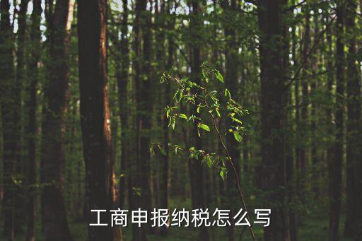 東莞東城工商報(bào)稅范圍，東莞這邊的個(gè)體工商戶需要申報(bào)所得稅嗎