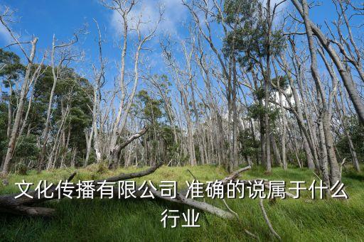 深圳品牌文化傳播有限公司怎么樣，文化傳播有限公司 準確的說屬于什么行業