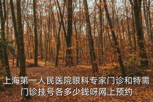 上海第一人民醫院眼科專家門診和特需門診掛號各多少錢呀網上預約