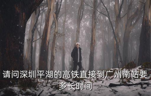 請(qǐng)問(wèn)深圳平湖的高鐵直接到廣州南站要多長(zhǎng)時(shí)間