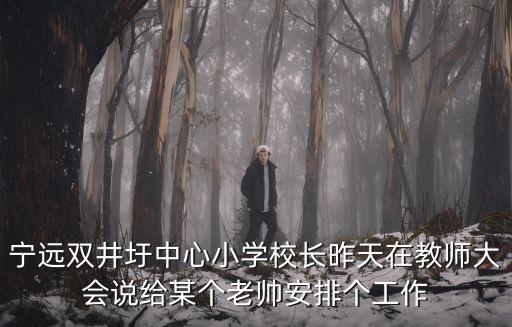 深圳市寧遠何景成，寧遠雙井圩中心小學(xué)校長昨天在教師大會說給某個老帥安排個工作