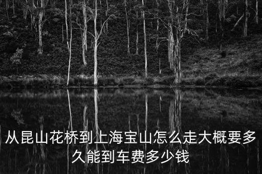 從花橋去上海市寶山區黃海路，上海路線仔細說明