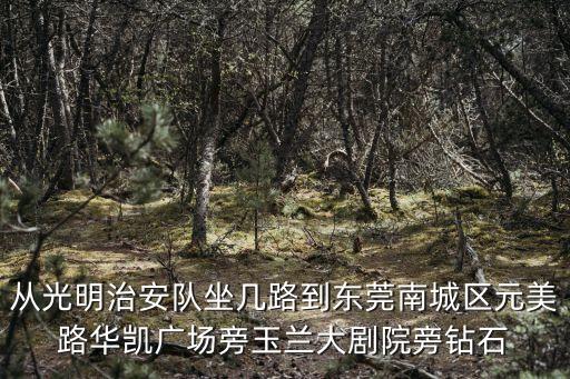 從光明治安隊坐幾路到東莞南城區元美路華凱廣場旁玉蘭大劇院旁鉆石