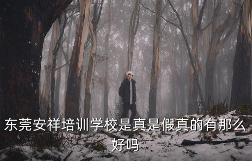 東莞安祥培訓學校是真是假真的有那么好嗎