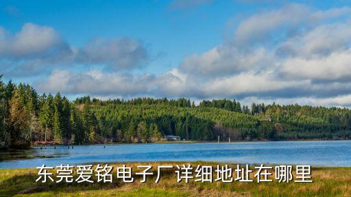 東莞晟銘電子廠電話號碼，東莞固話查詢