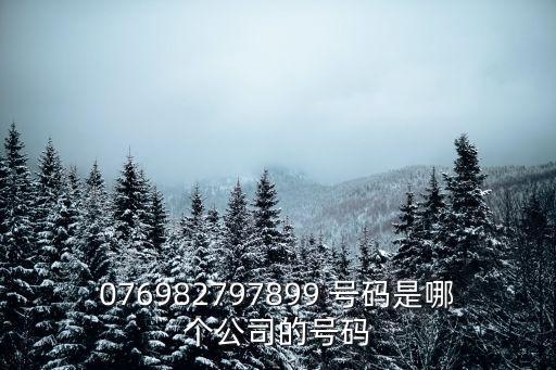 076982797899 號碼是哪個公司的號碼