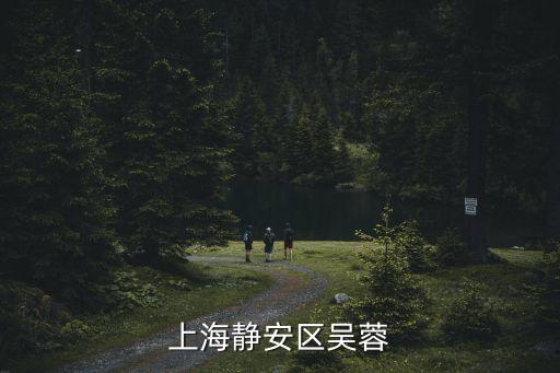 上海市靜安區團委書記吳佳妮，上海市現任團委書記是誰
