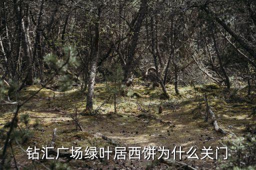 鉆匯廣場(chǎng)綠葉居西餅為什么關(guān)門