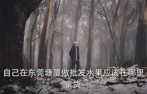 自己在東莞塘廈做批發水果應該在哪里拿貨