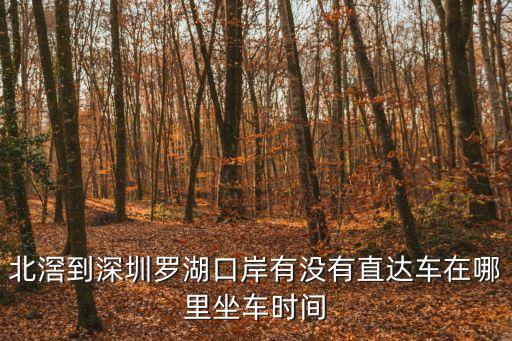 北滘到深圳羅湖口岸有沒有直達車在哪里坐車時間