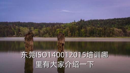 東莞ISO140012015培訓哪里有大家介紹一下
