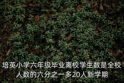培英小學六年級畢業離校學生數是全校人數的六分之一多20人新學期