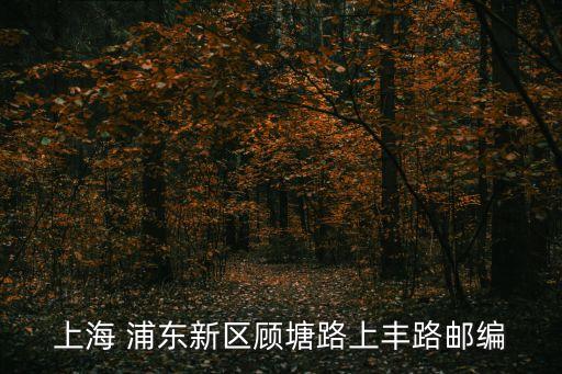 上海 浦東新區顧塘路上豐路郵編