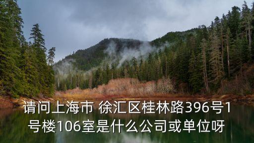請問上海市 徐匯區桂林路396號1號樓106室是什么公司或單位呀