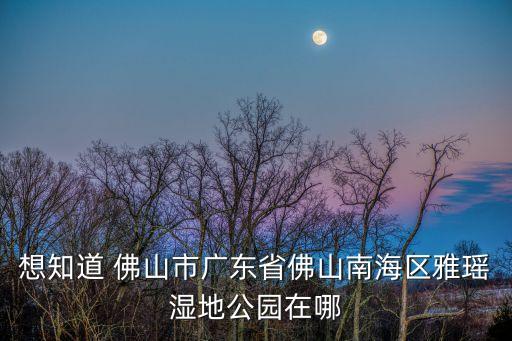 想知道 佛山市廣東省佛山南海區雅瑤濕地公園在哪