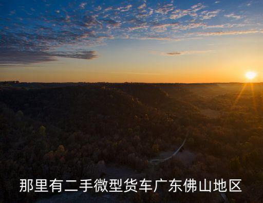 那里有二手微型貨車廣東佛山地區