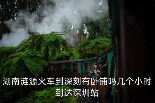 湖南漣源火車到深刻有臥鋪嗎幾個小時到達深圳站