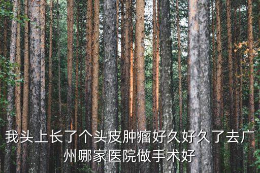 廣州女子頭上帶瘤，我頭上長了個頭皮腫瘤好久好久了去廣州哪家醫院做手術好