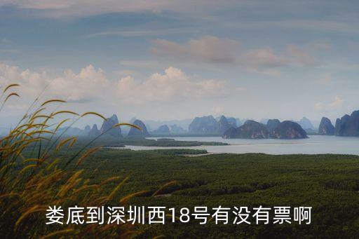 婁底到深圳西18號有沒有票啊