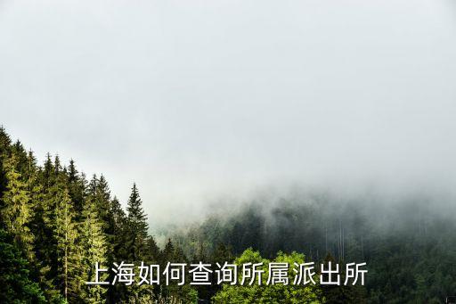 上海市港沿鎮派出所，上海如何查詢所屬派出所