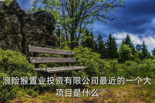 浪險(xiǎn)猴置業(yè)投資有限公司最近的一個(gè)大項(xiàng)目是什么