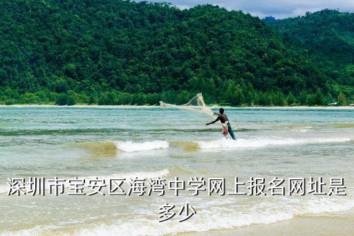 深圳市寶安區海灣中學網上報名網址是多少