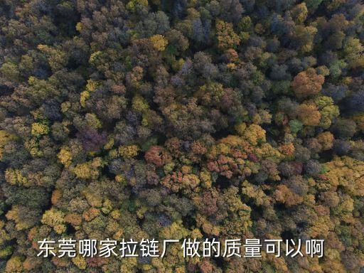 東莞市超強五金拉鏈廠，東莞大嶺山楊屋第二工業(yè)區(qū)有哪些拉鏈廠啊