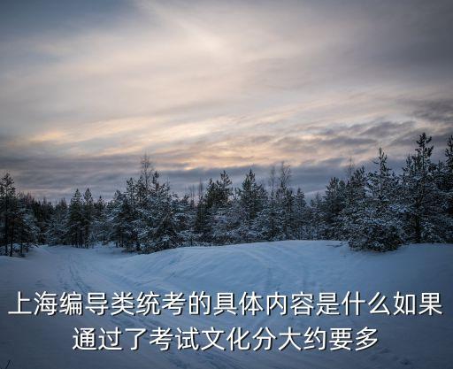 上海市編導加分多少，考上海電影學院編導系文化課要多少分