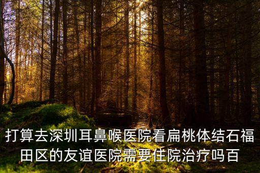 打算去深圳耳鼻喉醫(yī)院看扁桃體結石福田區(qū)的友誼醫(yī)院需要住院治療嗎百