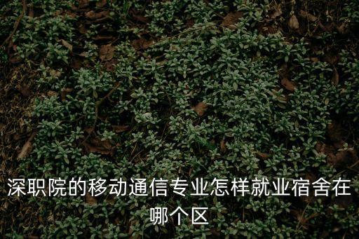 深職院的移動通信專業怎樣就業宿舍在哪個區
