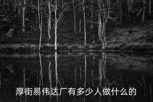 東莞厚街偉易達是做什么產品的，有誰知道東莞偉易達