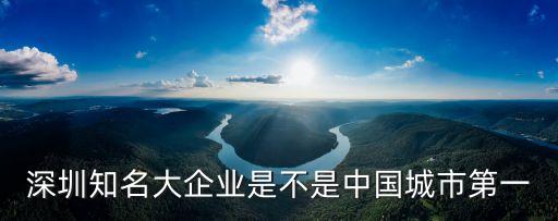深圳知名大企業是不是中國城市第一